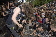 Insanity Alert